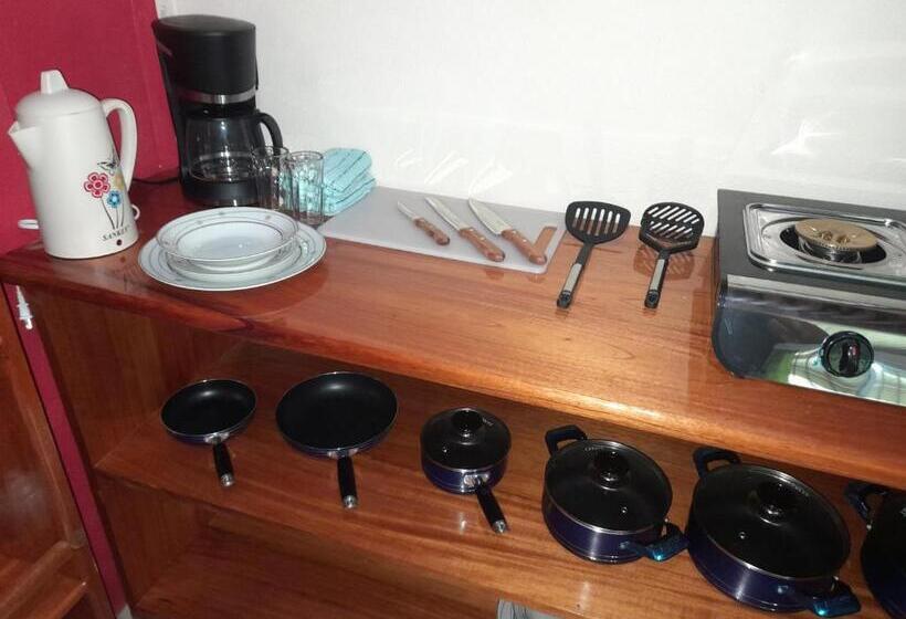 带1个卧室的公寓, Hostel Osa Tucan Drake