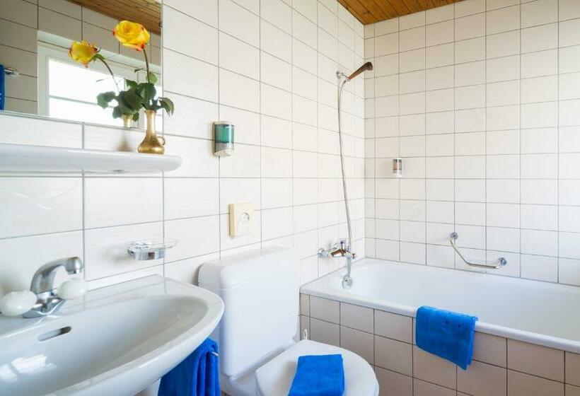 Номер Economy, Alpina