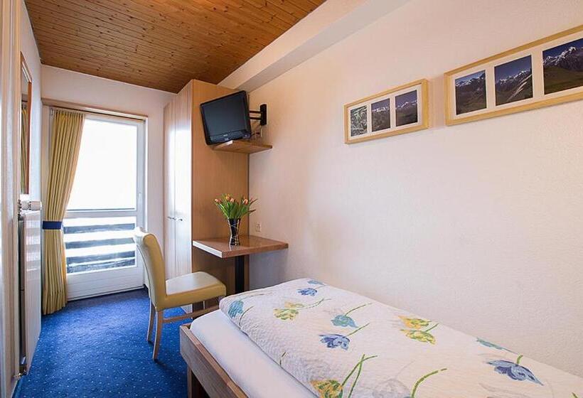 Номер Стандарт Индивидуальный с Балконом, Alpina