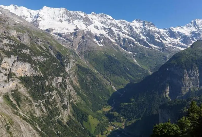 Standardrum Bergsutsikt, Alpina