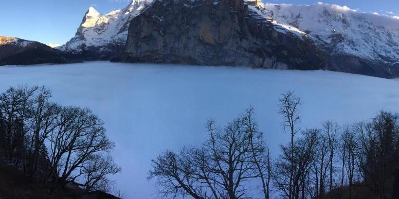 Номер Стандарт Вид на Горы, Alpina