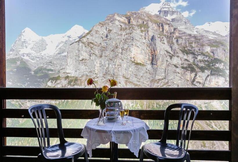 Номер Стандарт Вид на Горы, Alpina