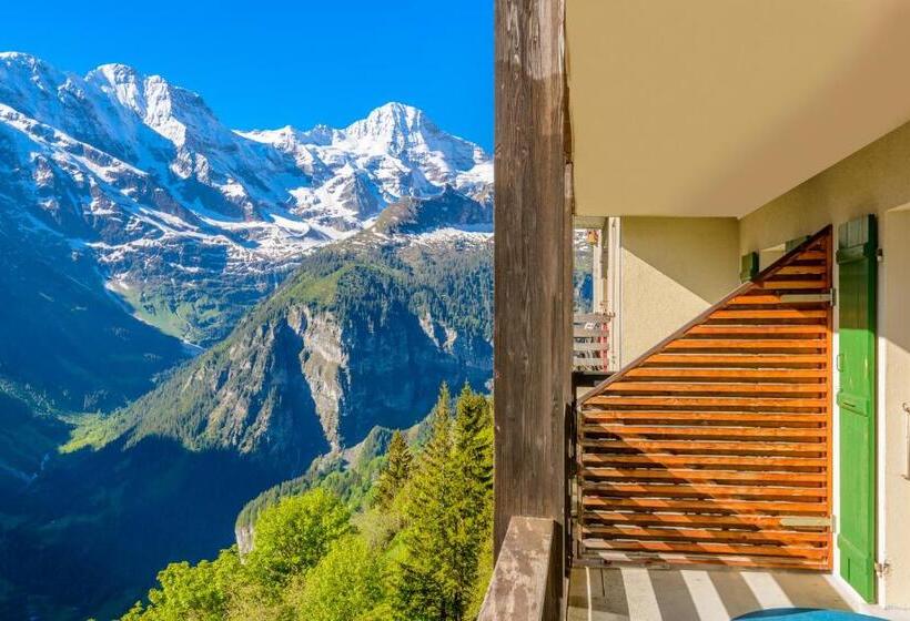 Номер Стандарт Вид на Горы, Alpina