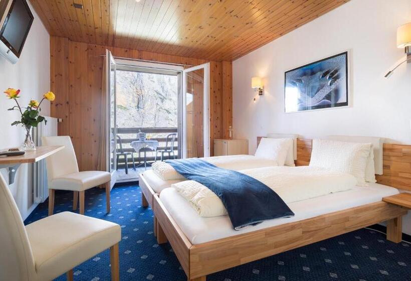 Номер Стандарт Вид на Горы, Alpina