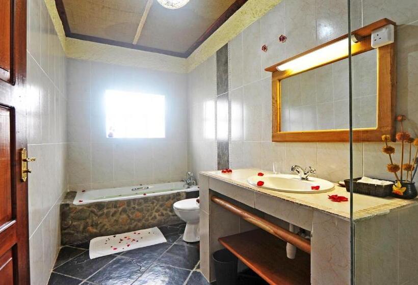 اتاق لوکس, Mwanzo Lodge