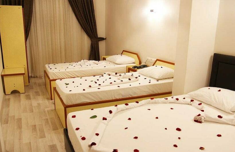 标准三人间, Dostlar