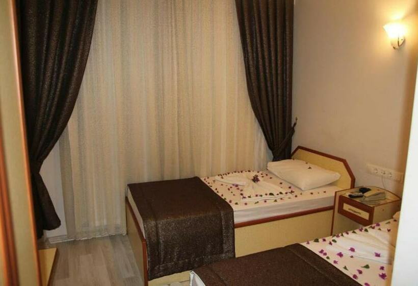 اتاق استاندارد, Dostlar