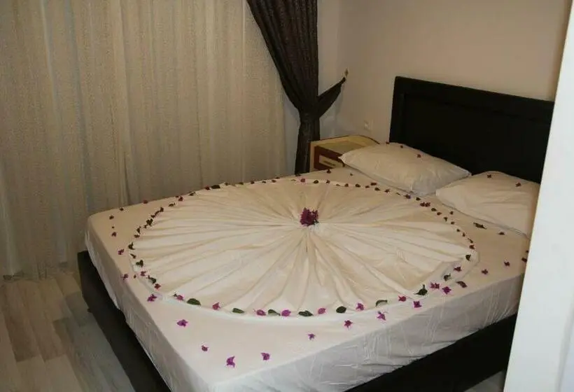اتاق استاندارد یک نفره, Dostlar