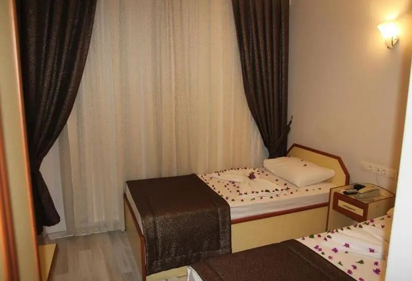 اتاق استاندارد, Dostlar