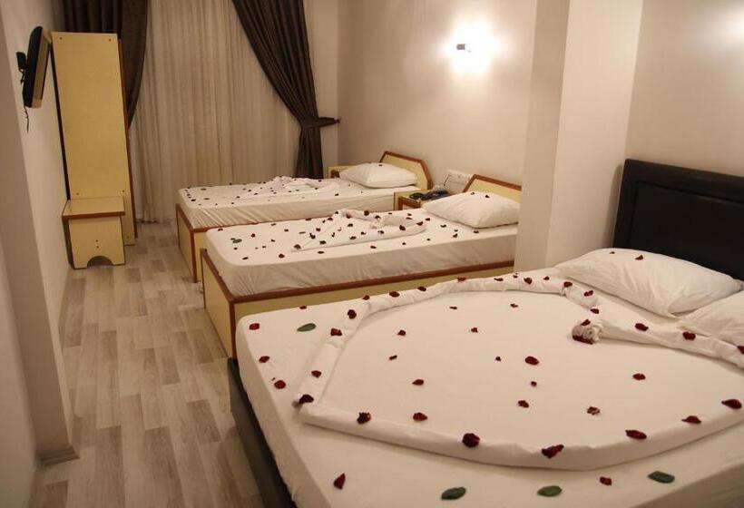 اتاق استاندارد, Dostlar