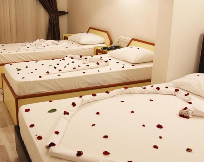 标准三人间, Dostlar