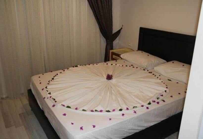 标准单人间, Dostlar