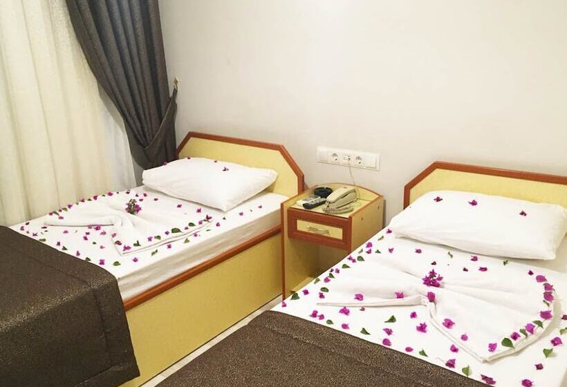 标准三人间, Dostlar