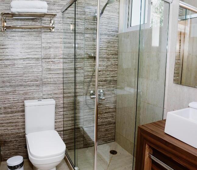 スタンダードルーム, Hoja De Parra