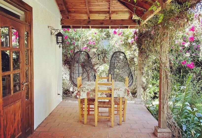 スイート（家族用）, Hoja De Parra