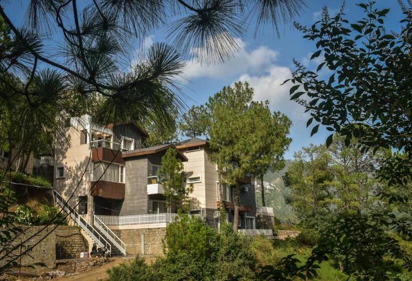 スリーベッドルーム　ヴィラ, Jungle Lodge Resort