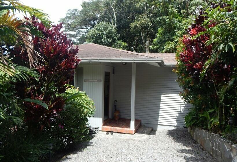 بانگلوی لوکس, Coffee Estate Inn