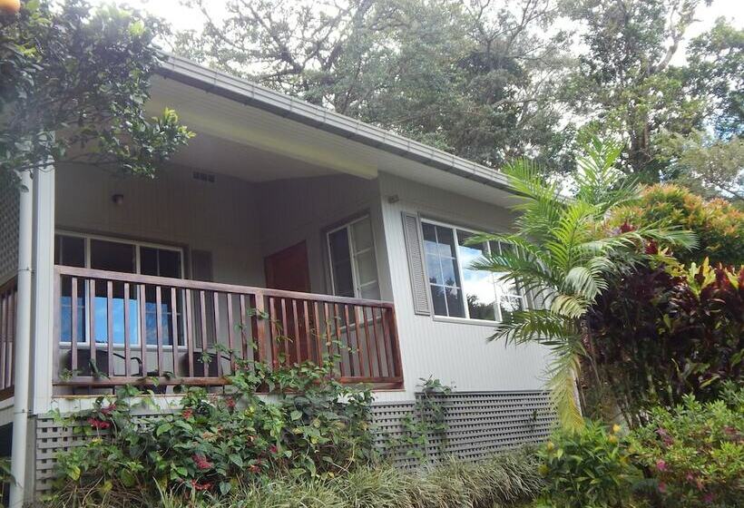 بانگلوی لوکس, Coffee Estate Inn