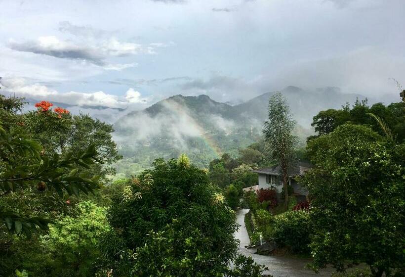 بانگلوی لوکس, Coffee Estate Inn