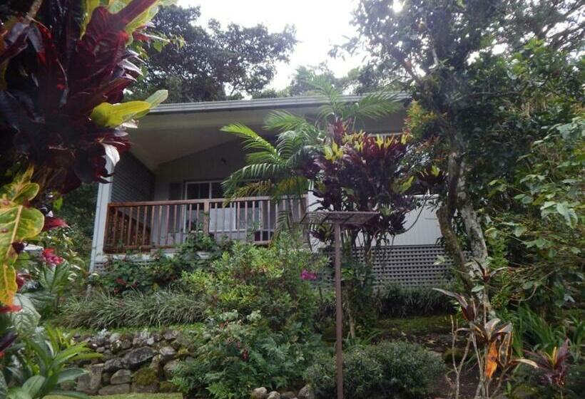 بانگلوی لوکس, Coffee Estate Inn