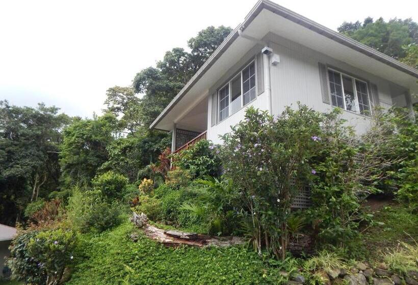 بانگلوی لوکس, Coffee Estate Inn
