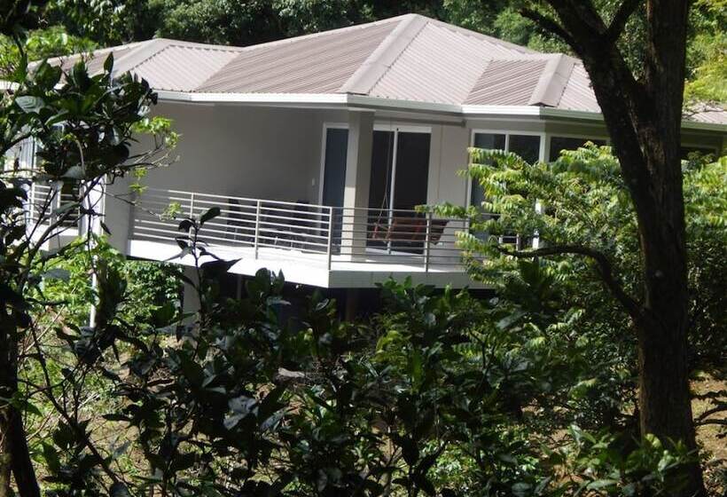 بانگلوی استاندارد 2 خوابه, Coffee Estate Inn