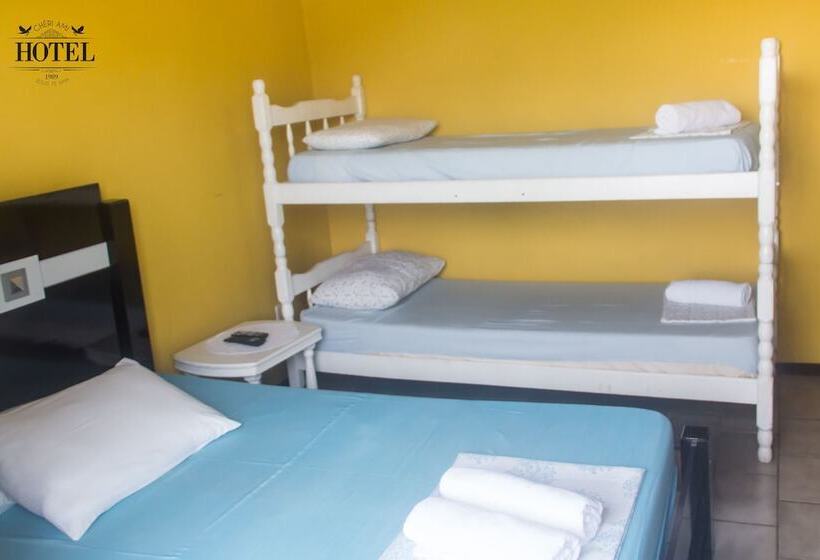 スタンダードルーム, Cheri Ami