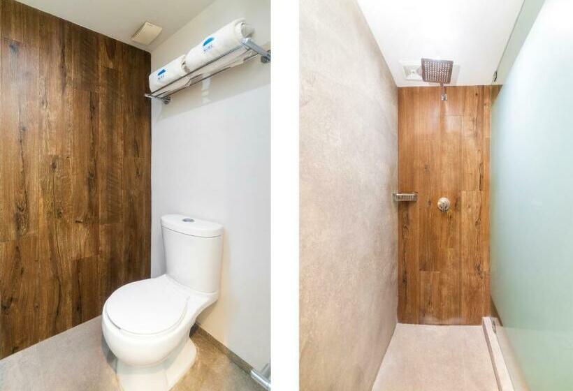 غرفة قياسية, Nube