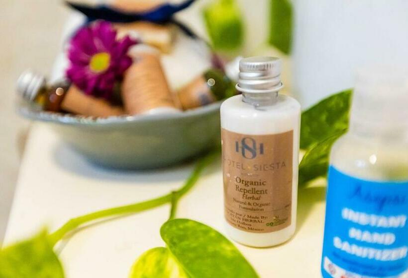 经典套房, Siesta Holbox