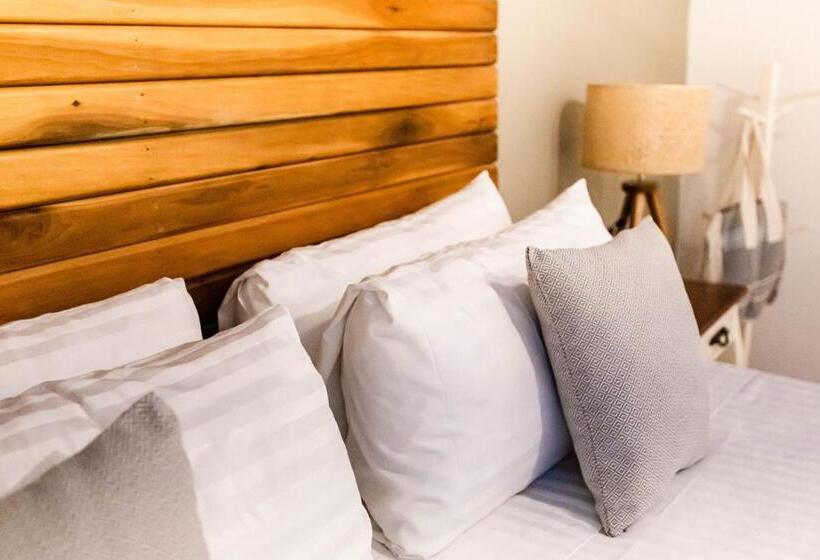 经典套房, Siesta Holbox