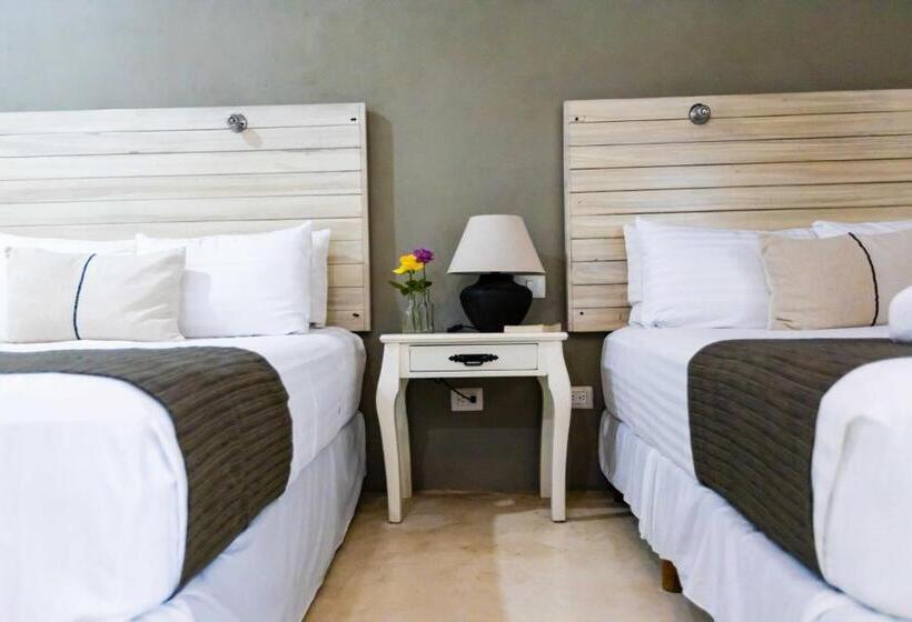 豪华房间, Siesta Holbox