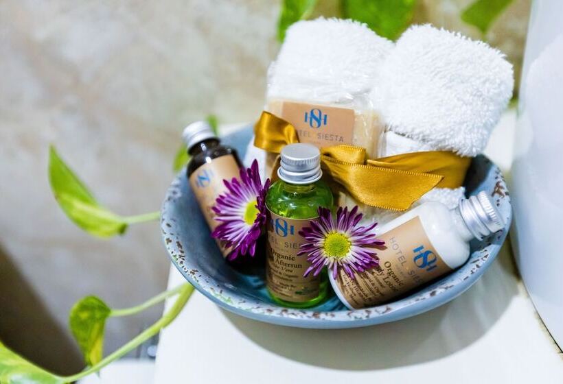 豪华房间, Siesta Holbox