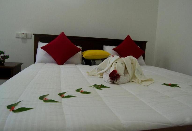 Camera Superiore, Shady Mango Villa