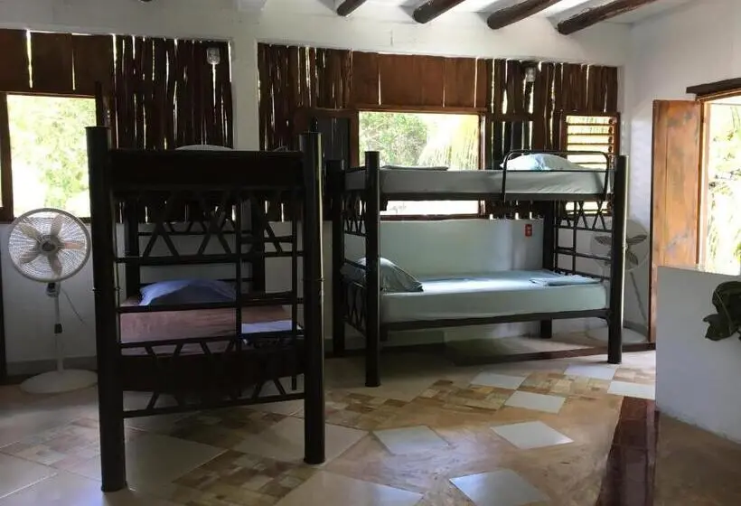 Vuode Makuusalissa, Hostal Cha Cha Cha
