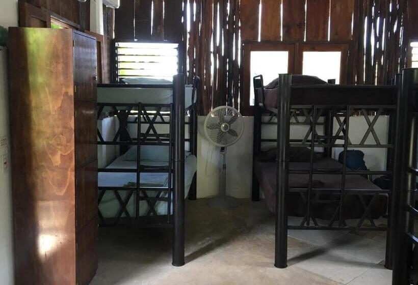 تختخواب در اتاق مشترک, Hostal Cha Cha Cha