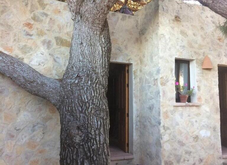 اتاق استاندارد, La Pérgola Habitaciones Rústicas