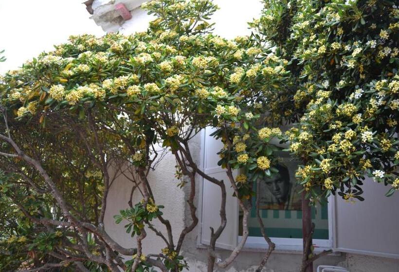 חדר סטנדרט, B&b Miramare