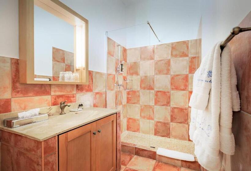 חדר סטנדרט עם מיטת קינג, Boutique Hideaway Cortijo El Sarmiento