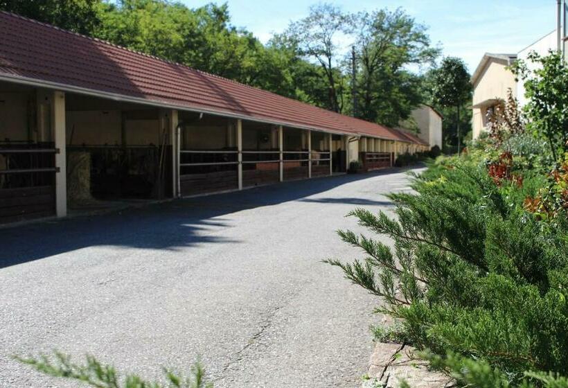 标准间, La Viscontina