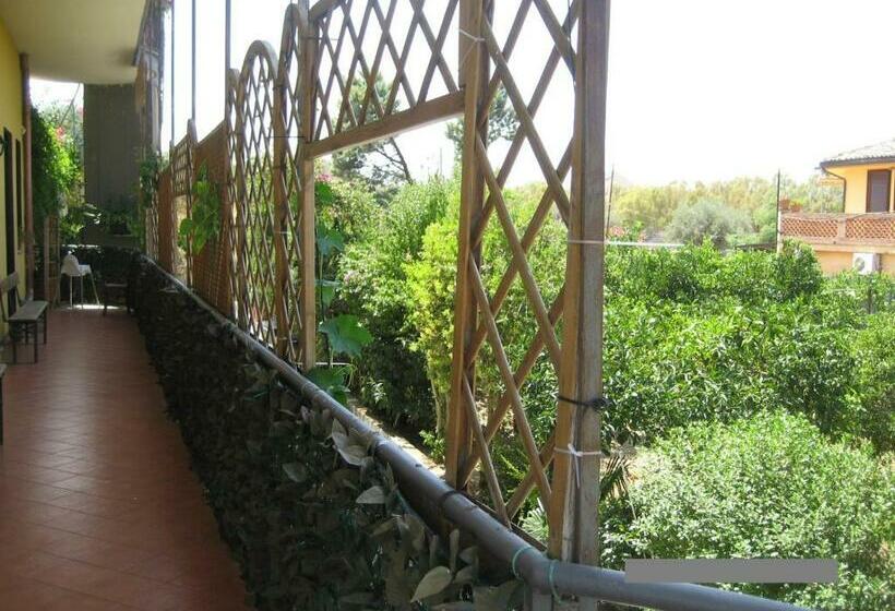 Номер Стандарт Индивидуальный, Oasi Del Lago