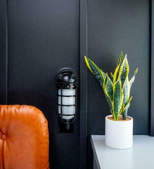 اتاق لوکس, The Chicago Hotel Collection River North