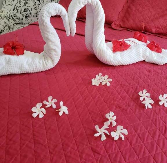 Camera Standard, Pousada Martins E Cia