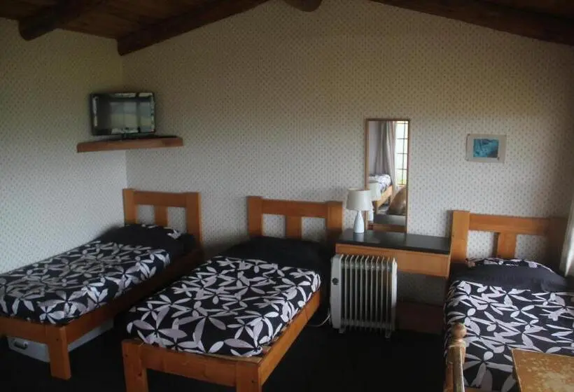 تختخواب در اتاق مشترک, Barnyard Backpackers Te Anau