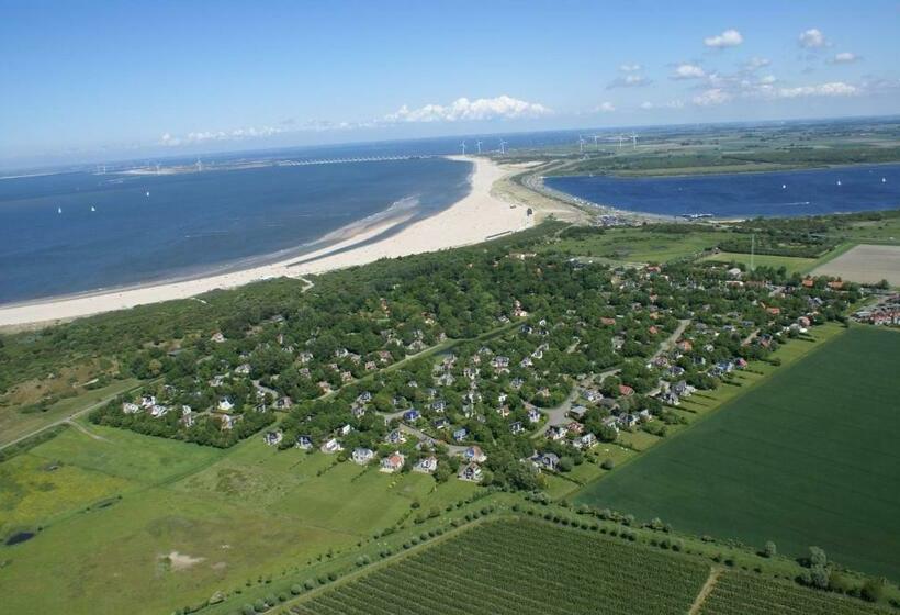 Estudio Estándar, Studio Augustinus