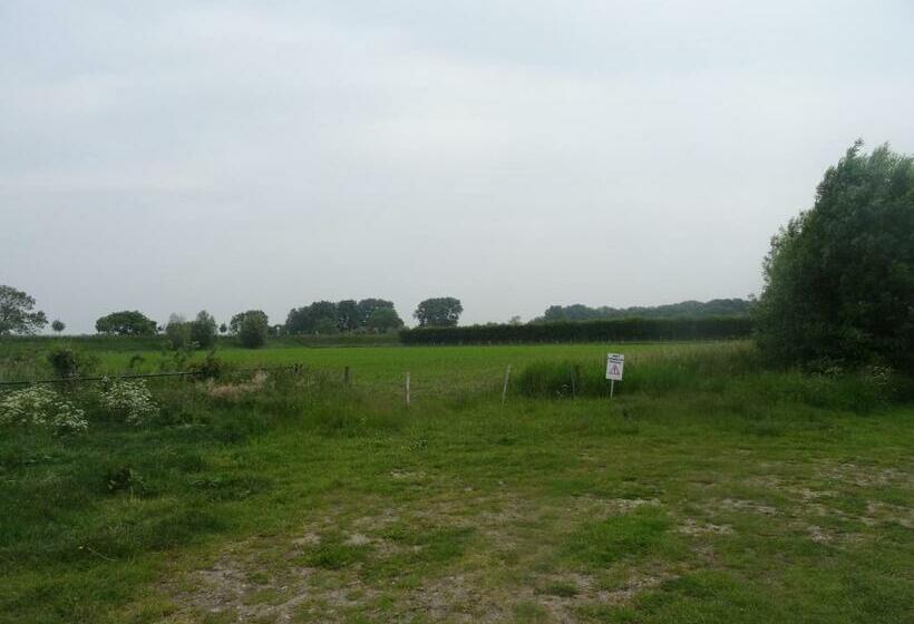 Estudio Estándar, Studio Augustinus