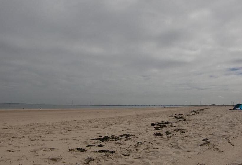 Estudio Estándar, Studio Augustinus