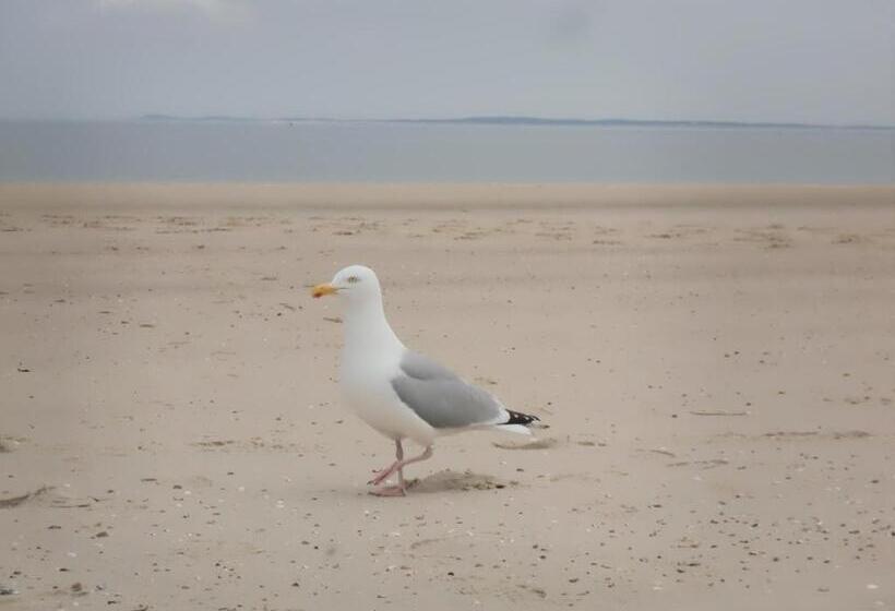 Estudio Estándar, Studio Augustinus