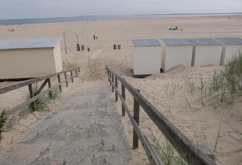 Estudio Estándar, Studio Augustinus