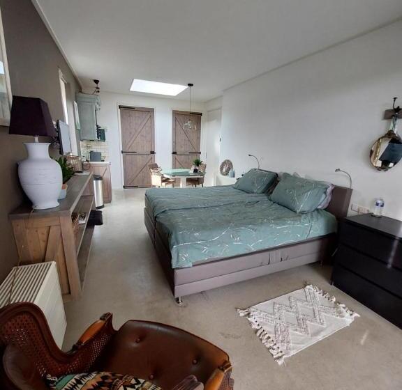 Estudio Estándar, Studio Augustinus