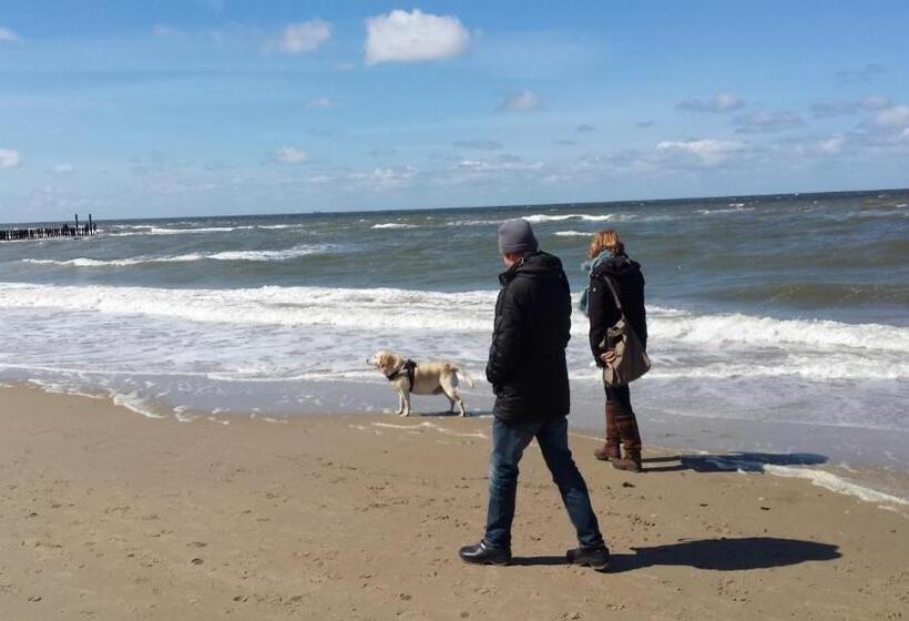 Estudio Estándar, Studio Augustinus